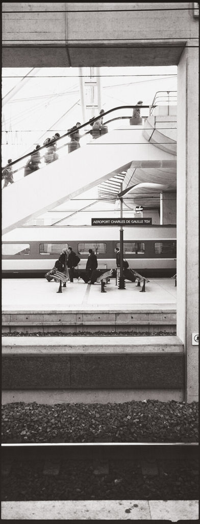  Joie De Vivre - Paris Journal